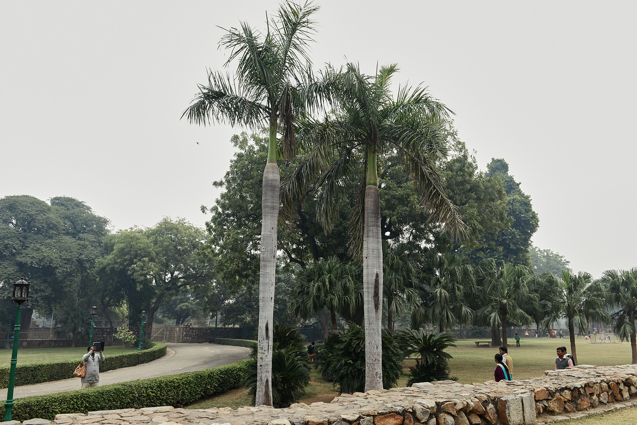 20140104 240 델리 쿠트브 미나르 (철 기둥)